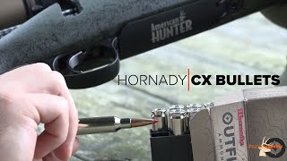 SundayGunday Hornady CX Bullets [upl. by Ladonna]