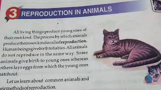 class 4 Holy Faith abc of science Class 4  REPRODUCTION IN ANIMALS  explanation in hindiDj nath [upl. by Ilatfen]