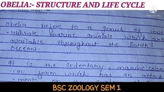 STRUCTURE AND LIFE CYCLE OF OBELIA [upl. by Wiley]