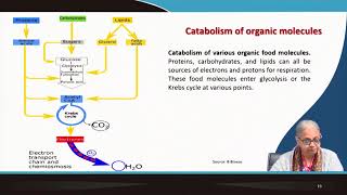 Microbial Metabolism  III swayamprabha ch17sp [upl. by Ettedranreb987]