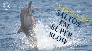 GolfinhoRotador Saltos incríveis em Super Slow [upl. by Garratt]