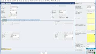 Payroll Demo  Part Iwmv [upl. by Jannel]