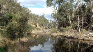 North Queensland is ‘destroying what is left’ of its forests to build wind farms [upl. by Michaeline]