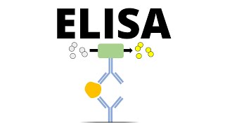 ELISA Enzymelinked Immunosorbent Assay [upl. by Galer]