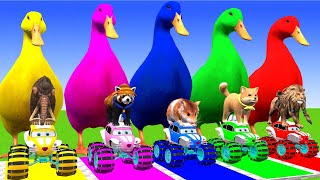 5 Giant Duck CartoonCowMammothTigerZebraDinosaurPaint Wild Animals Crossing Fountain Animation [upl. by Lewap]