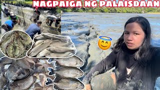 HARVEST TIME NG MGA ISDA  NAGPAIGA NG PALAISDAAN [upl. by Inavihs947]