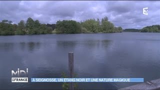 A Seignosse un étang noir et une nature magique [upl. by Onitram]