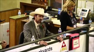 The Best Auctioneer  Rhett Parks [upl. by Camilla]