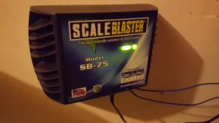 20160814 Scaleblaster Review at 90 days [upl. by Bandeen]