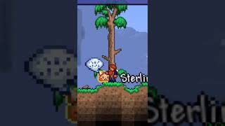 Tips de terraria que talvez no conocías😮 parati terraria xd gaming [upl. by Idell]