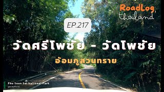 EP 217Scenic Drive Wat Sriphochay to Wat Phonchay via Phu Suan Sai National Park  Loei Thailand [upl. by Aihsekyw]