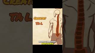 The powerful effects of doing back bridges calisthenics yoga [upl. by Zigrang756]