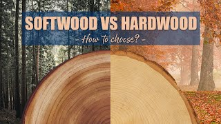 Softwood vs Hardwood  How to choose for WOODWORKING projects [upl. by Razec]