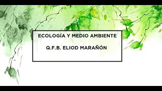 Ecología  Clase 3  Ramas y divisiones de la ecología [upl. by Ulla369]