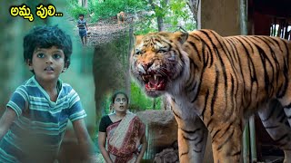 Tollywood Recent Blockbuster Movie Tiger Scene  Telugu Movies  Cinema Chupistha [upl. by Nevaed426]