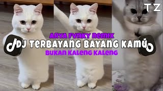 DJ TERBAYANG BAYANG KAMU KUCING JOGET VIRAL BUKAN KALENGKALENG Viral Tiktok [upl. by Ecirrehs]