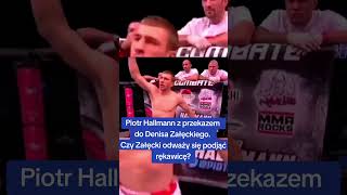 Hallmann wiadomość do Denisa Załęckiego 💥 freak [upl. by Olympium]