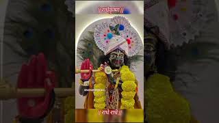 Kya jarurat hai hajaron ki â¤ï¸ðŸ¥¹ðŸ¥¹ðŸ™ðŸ™Radhe Radhe ðŸ™shortvideo [upl. by Palmer]