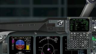 PMDG Md11 full tutorial part1 [upl. by Artemisia]