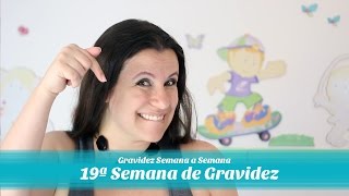 19ª Semana de gestação [upl. by Sybilla95]