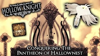 Hollow Knight The Pantheon of Hallownest Embrace the Void TrophyAchievement [upl. by Sammer]