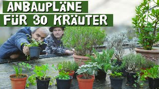 Anbauanleitung für 30 wichtige Kräuter  Kräutergarten Topf Hochbeet  Petersilie Basilikum [upl. by Mayberry]