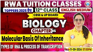 Class 12 Biology Chapter 5  Molecular Basis Of Inheritance By Vandana Mam [upl. by Caritta]