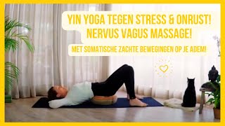 Yin yoga  Nervus vagus ontspanning  Stress amp angstklachten verminderen activeer je nervus vagus [upl. by Nibas390]