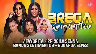 🔵 CD BREGA ROMÂNTICO 2022 RAPHAELA SANTOS  PRICILA SENNA  BANDA SENTIMENTOS  EDUARDA ALVES [upl. by Graeme]