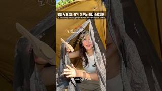 텐트 밖은 위험해⭐️  땡볕속 섬에서 솔로캠핑하기 솔로캠핑 [upl. by Dlarrej]