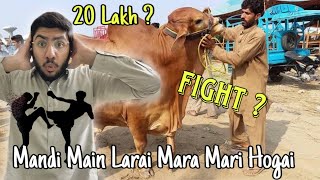 Mandi Main Fight Hogai 😡 Kasur Ki Maweshi Mandi 2024 [upl. by Leksehcey130]