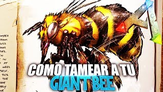 COMO TAMEAR A TU GIANT BEE  Guia Español  Ark Survival Evolved [upl. by Nniuq]