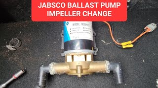 Jabsco Ballast Puppy Pump Changing Impeller model  182201127 [upl. by Enutrof946]