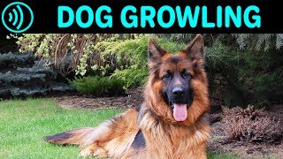 DOG GROWLING SOUND EFFECT  Big German Shepherd Dog Growling Noise  Free Sound Effects Download [upl. by Nivlem807]