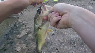 Fishing Bagnell Dam [upl. by Dupin]