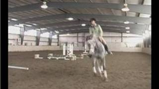 Horse Gaits  Right Foot Lead Cantering From a Sitting Trot [upl. by Hays]