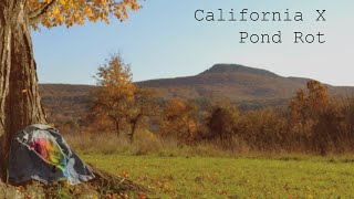 California X  quotPond Rotquot [upl. by Coulter]