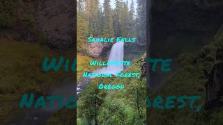 Sahalie Falls Willamette National Forest Oregon naturegrandpa waterfall shorts [upl. by Llerud]