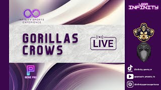 GORILLAS VS CROWS  LEGA INFINITY  SERIE PRO  ROUND 4 [upl. by Ellimak774]