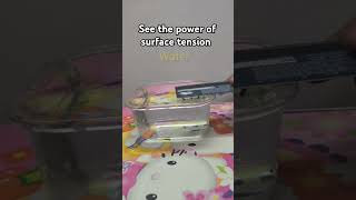 Power of surface tension  force of adhesion  पृष्ठ तनाव  education PhysicsMathsSamjho [upl. by Soble]