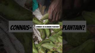 Les bienfaits de la banane plantain [upl. by Dajma]