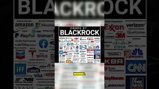 Blackrock investiert in Medien [upl. by Areik]