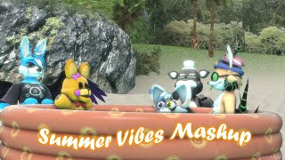 Summer Vibes Mashup  Collab Part 1 for haskiofficial [upl. by Ytok]