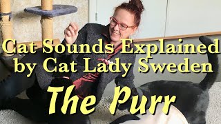 Cat Sounds Explained The Purr [upl. by Negem]