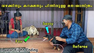 1 വർഷമായുള്ള വഴക്കിന് പിന്നിലെ മനഃശാസ്ത്രം 🎭 psychological reason Behind labrador  dachshund fight [upl. by Suirtimid319]