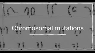 Chromosomal mutations [upl. by Ennaej]