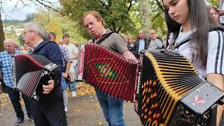 CONCERTINAS ðŸª—ðŸª—âœ¨ Arcos de Valdevez ðŸ‡µðŸ‡¹ðŸ’¥ 201024 concertinas acordeon musica [upl. by Weir]