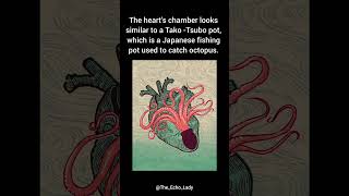 Takotsubo🐙 echocardiogram echocardiography Takotsubo Cardiomyopathy Cardiology [upl. by Terrill]