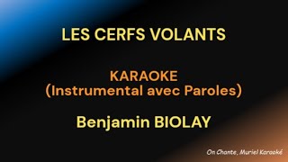 LES CERFS VOLANTS BENJAMIN BIOLAY KARAOKE [upl. by Chiquia]