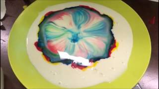 How To Do Milk Food Coloring Soap Experiment [upl. by Tommy]